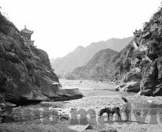麻豆和91-麻豆与数字世界的交融,一场视觉与想象的奇遇