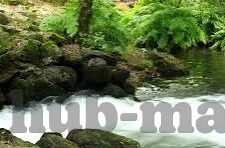 糖心vlog网址-探寻甜蜜时光，揭秘糖心Vlogger的趣味日常
